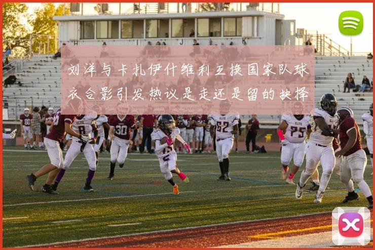 刘洋与卡扎伊什维利互换国家队球衣合影引发热议是走还是留的抉择时刻