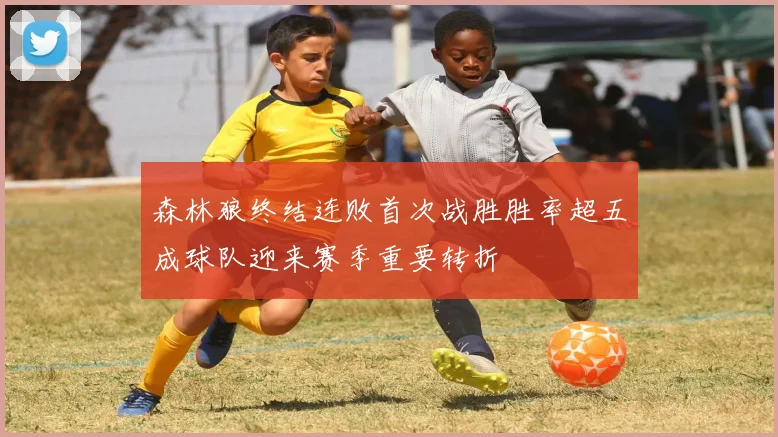 森林狼终结连败首次战胜胜率超五成球队迎来赛季重要转折