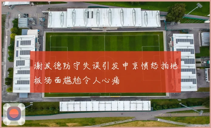谢泼德防守失误引发申京愤怒拍地板场面尴尬令人心痛