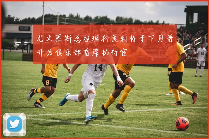 尤文图斯总经理科莫利将于下月晋升为俱乐部首席执行官