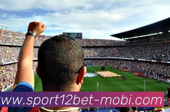 12betAPP 高清赛事图